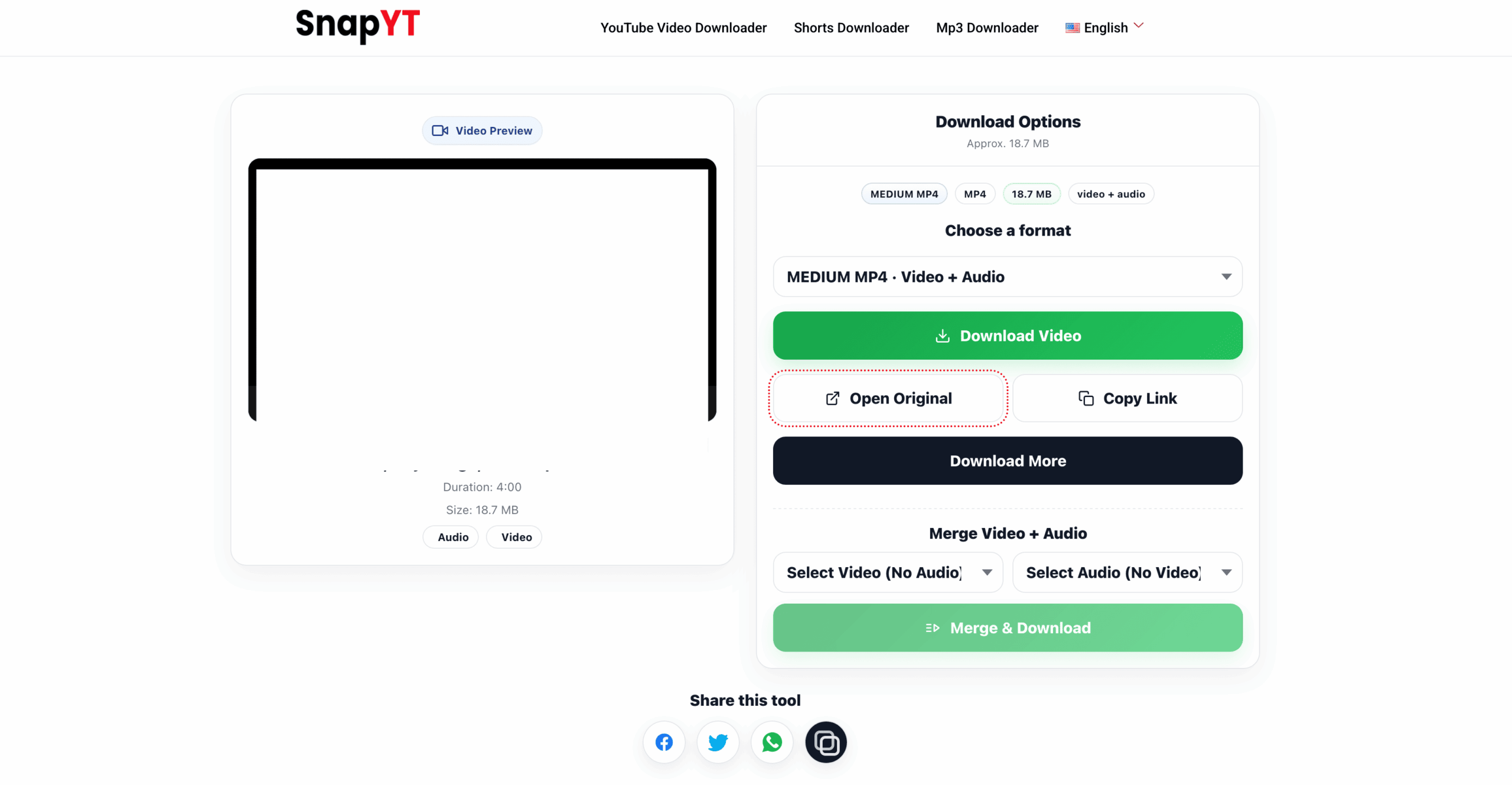 Stránka náhledu SnapYT se přehrávačem, volbou audio formátu a akcí stahování